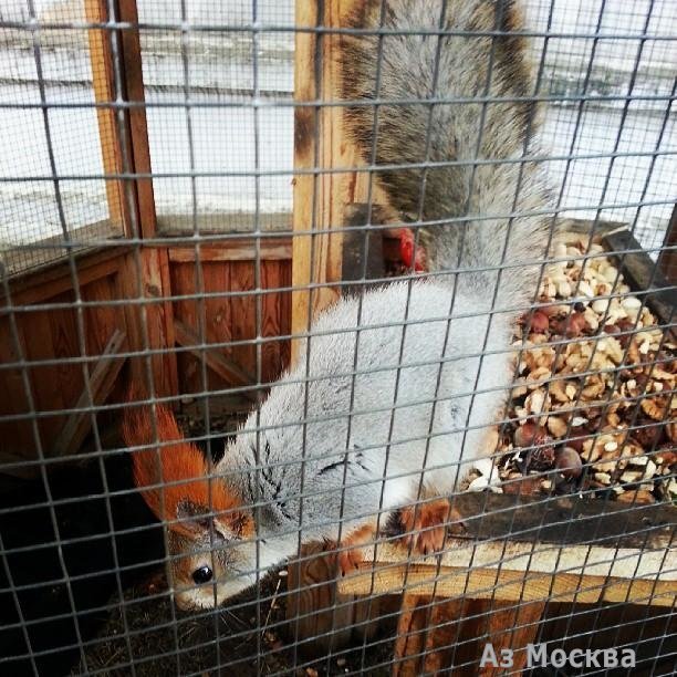 Храм Рождества Пресвятой Богородицы в Старом Симонове, Восточная улица, 6 ст1