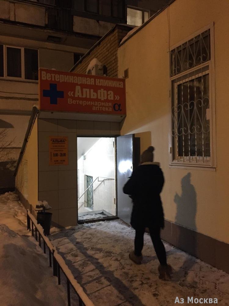Альфа, ветеринарная клиника, Комсомольская, 18 (цокольный этаж)