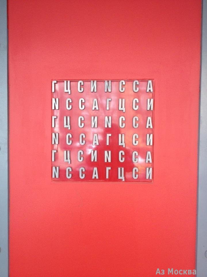 Музей изобразительных искусств им. А.С. Пушкина, Зоологическая улица, 13 ст2