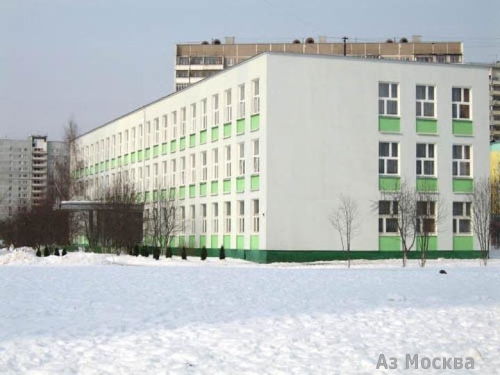 Видновская гимназия