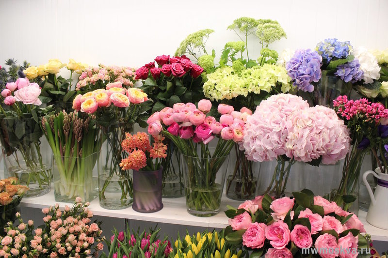 Bloomdecor, салон цветов и подарков, Рублёвское шоссе, 48/1, 20 павильон, 1 этаж