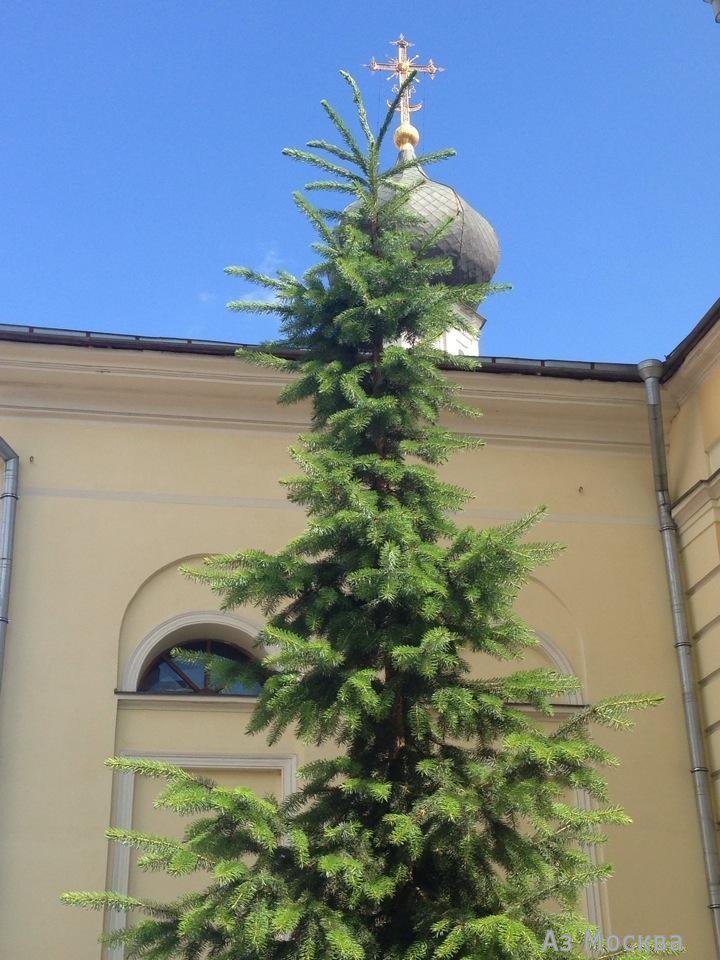 Храм Успения Пресвятой Богородицы в Казачьей Слободе, улица Большая Полянка, 37 ст3