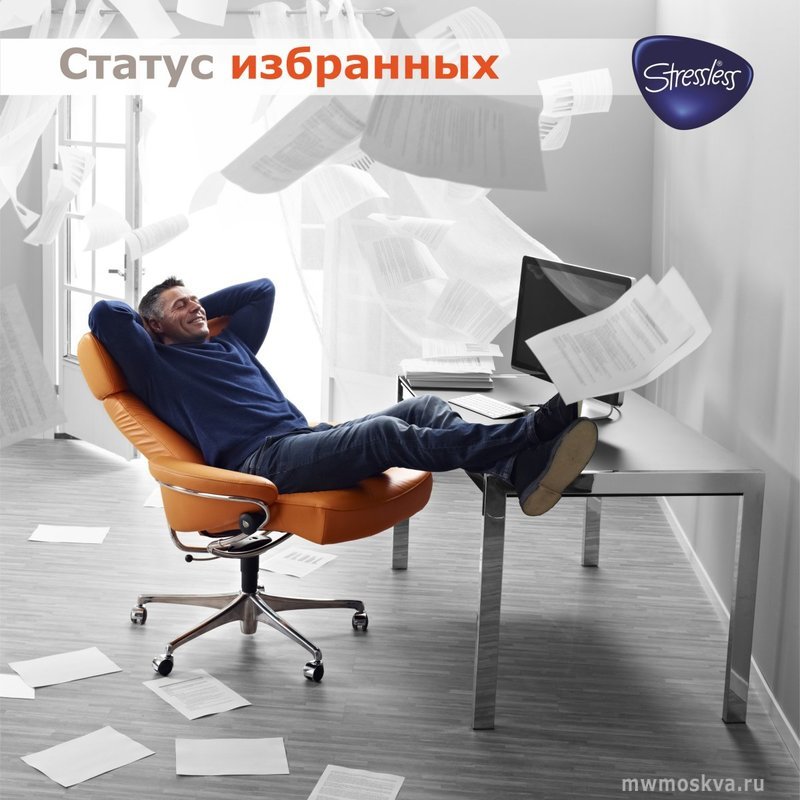 Stressless, студия комфорта, улица Бутаково, 4, 2 сектор, 2 этаж