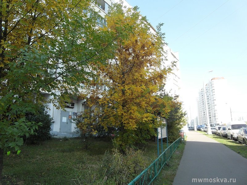 Золотой ключик, интеллект-центр, улица Александры Монаховой, 105 к1, 1 этаж