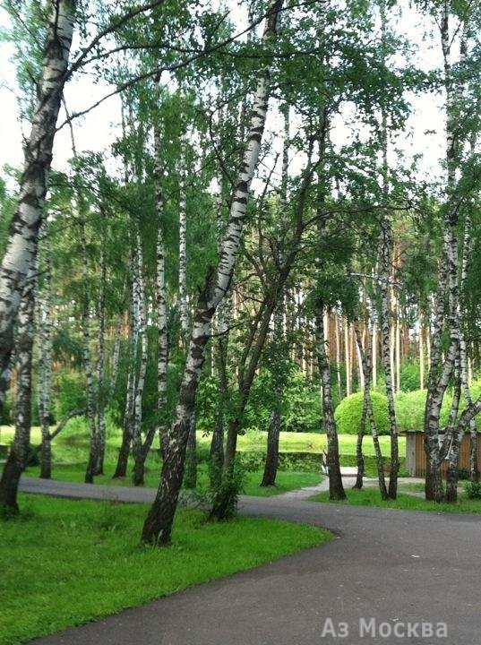 Ёлочки, городской парк культуры и отдыха