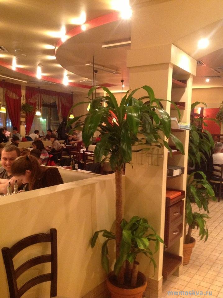 IL Патио, итальянский ресторан, Волгоградский проспект, 119а, 2 этаж
