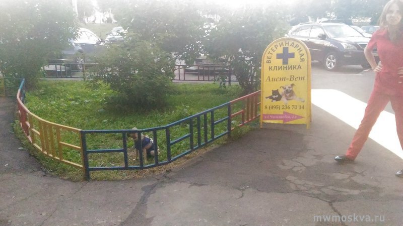 Аист-вет, ветеринарная клиника, Бутово парк жк, 2 (1 этаж)