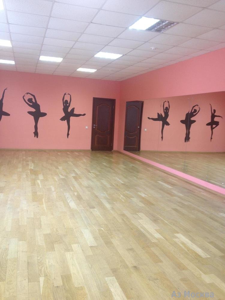 Dance Point, школа танцев, Нагатинская, 29 к4 (20 офис; 2 этаж)