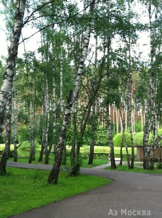 Ёлочки, городской парк культуры и отдыха